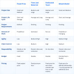 Navigating Pricing Models in IT Industry – JayDevs