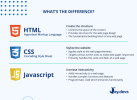 What is JavaScript Used for – JayDevs